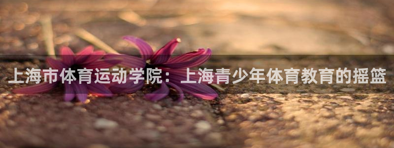 上海市体育运动学院：上海青少年体育教育的摇篮