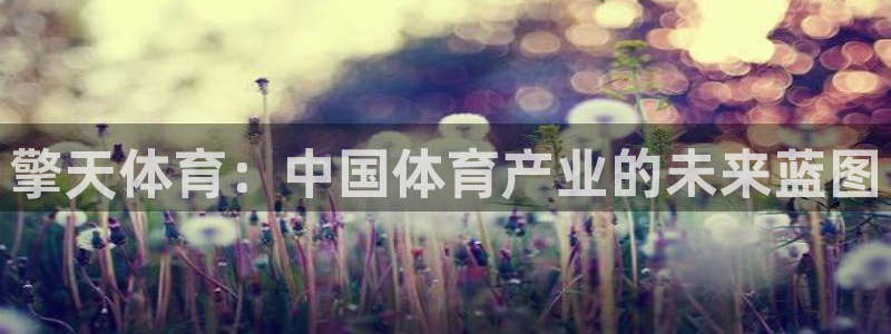 擎天体育：中国体育产业的未来蓝图