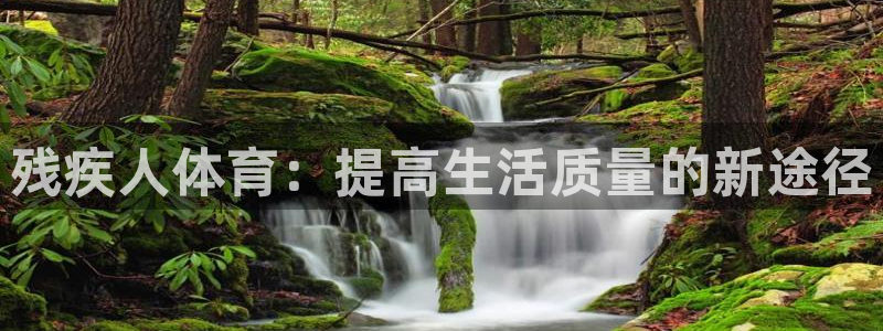nba免费直播 火凤