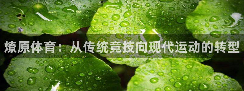 nba火凤