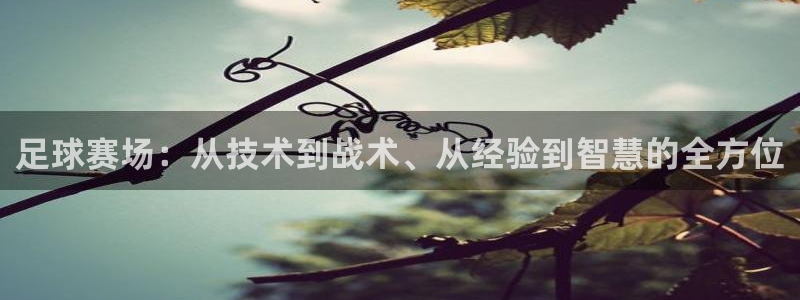 nba火凤
