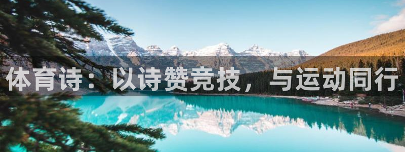 火凤直播nba