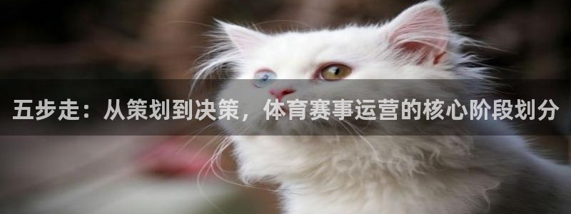 nba火凤直播：五步走：从策划到决策，体育赛事运营的核心阶段划分