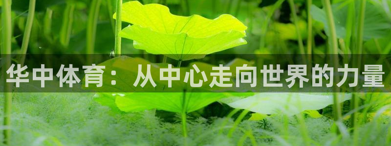 nba火凤：华中体育：从中心走向世界的力量