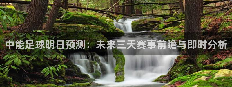 火凤体育免费直播入口