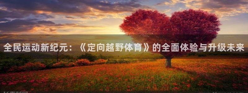 火凤足球直播