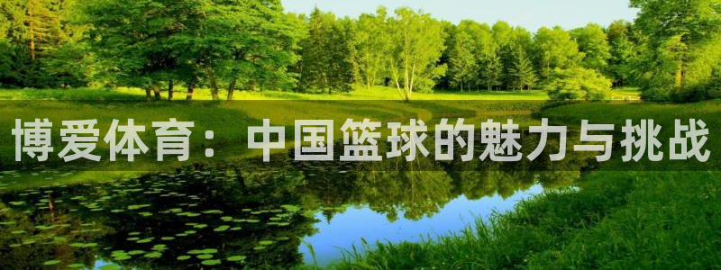 火凤足球直播