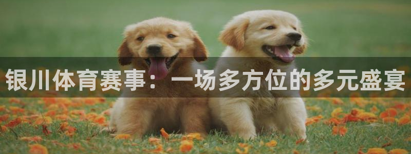 火凤体育