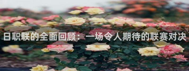 火凤免费观看体育直播
