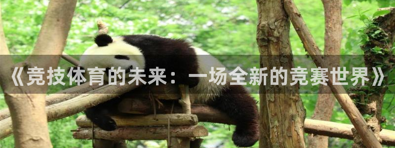 nba火凤体育免费直播
