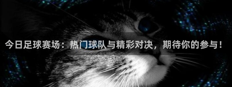 火凤直播体育免费直播