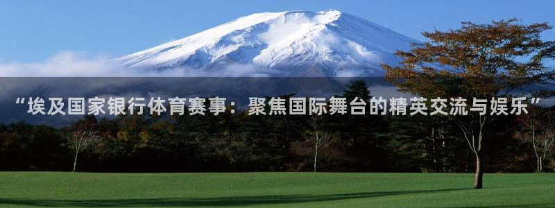 nba火凤直播